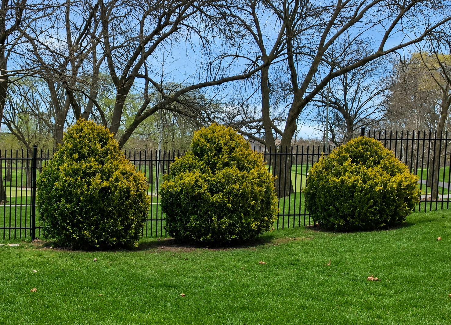 Ornamental fencing